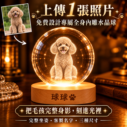 上傳一張照片客製全身坐姿寵物發光內雕水晶球夜燈