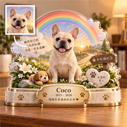 Coco 法國鬥牛犬照片經箭頭轉換為彩虹橋紀念擺件